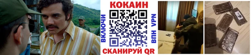сколько стоит  Горняк  COCAIN Fish Scale 