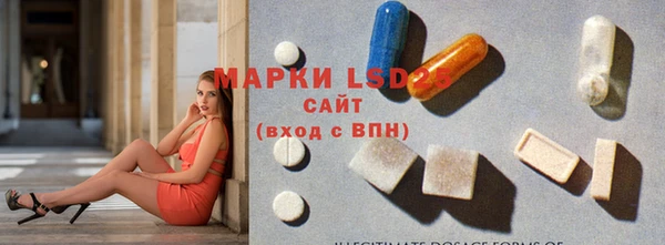 spice Бородино