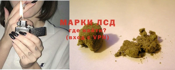 spice Бородино