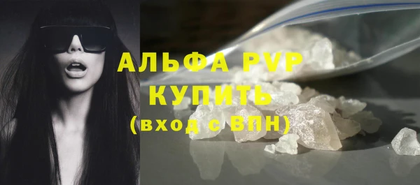 spice Бородино