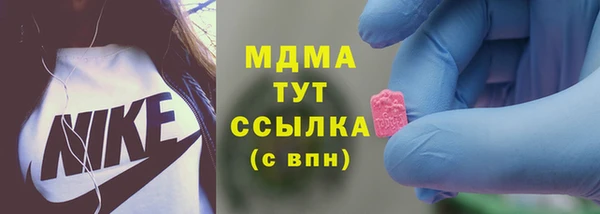 spice Бородино