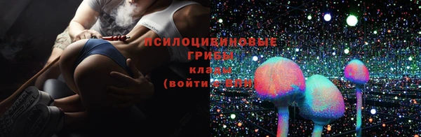 гашик Бронницы