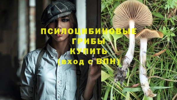 mdpv Бугульма